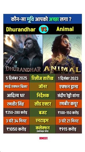 Dhurandhar vs Animal Movie Comprision | dhurandhar movie review #boxoffice #dhurandharmovie #shorts