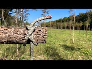 How to Tie the Most Useful Knots in the World (Constrictor Knot & Clove Hitch)