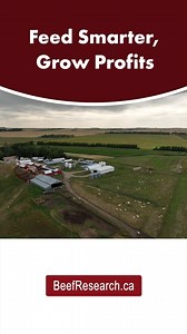 ▶️Watch the full video on feed testing and ration-balancing: https://www.beefresearch.ca/blog/let-cowbytes-simplify-your-feed-rations/ | Beef Cattle Research Council