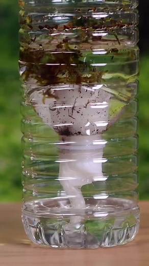 Three camping hacks to try the next time you want to experience the great outdoors! ⛺️🌲 #summer2021 #campinghacks