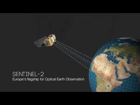 Sentinel-2 watches Earth's landmasses