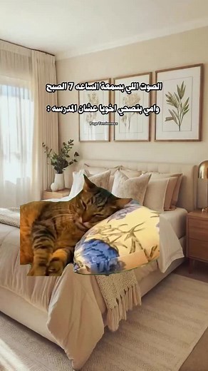 2.5K views · 18K reactions | Tenderness on Reels | Facebook