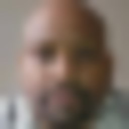 Don Pollo Chickens plus