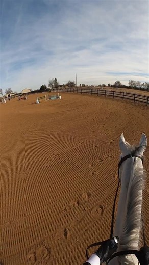Zoey🇨🇦🇺🇸 tiktok: @zoeyberg on Instagram: "I love re-watching my POV videos with Spring Fling🥰 helps me learn so much about my own riding! #horse #pov #fyp #equestrian #jumping"