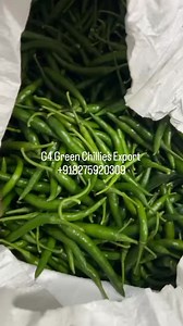 🌿 Shri Vidhaate Global Export 🌿 Exporting Premium Quality G4 Green Chillies Worldwide 🌎 At Shri Vidhaate Global Export, we take pride in delivering fresh, natural, and export-grade G4 Green Chillies directly from trusted Indian farms to international markets. Our chillies are known for their vibrant color, rich aroma, and long shelf life — perfect for both fresh consumption and processing industries. ✅ Product: G4 Green Chillies ✅ Quality: Premium export-grade, pesticide-free ✅ Packaging: 3.8