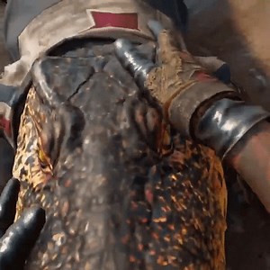 14 reactions · 6 comments | While you can pet many of the animals in Yara, make sure to stay clear of enemy animals, you might lose a finger.  More information in our nifty FAQ.  https://ubi.li/4JQ64 | Ubisoft Support | Facebook