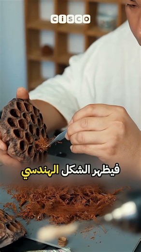 تحفة ديكور من ثمرة لوتس عادية 🪷✨ #diyideas #aesthetic #craft