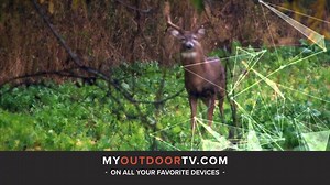 Learn the secrets of the 13 phases anytime by watching Drury's Thirteen on MyOutdoorTV. Start your FREE TRIAL today! http://bit.ly/2Pubc5R | MyOutdoorTV International