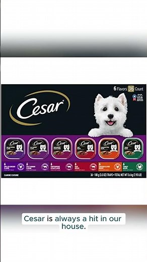 🐶🍗 CESAR Adult Wet Dog Food – Grilled Chicken Classic Loaf in Sauce! 🥩✨