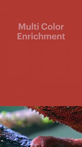 139K views · 30 reactions | ¿Estás listo para una experiencia de...