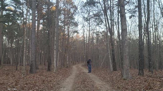 Glass/slate proto | Prouty Turkey Calls