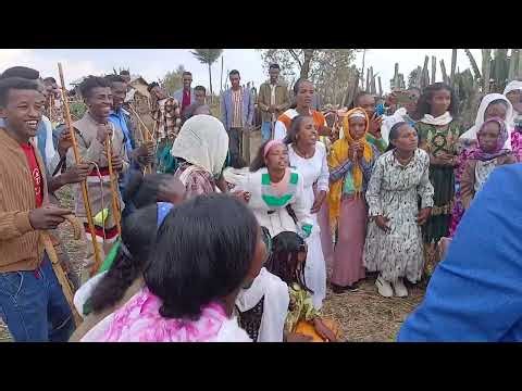 Best of Shawa: Oromo Wedding Music 2026 (Sirba Cidhaa Aadaa)l