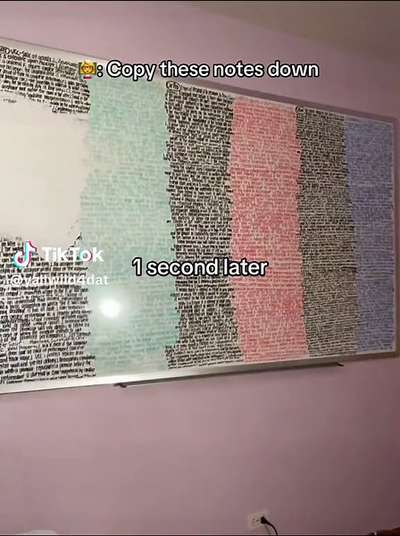 Creative School Hairstyle Ideas for Students | Teacher Life