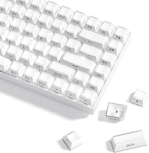 Womier Keycaps - Jelly Keycaps White 60 65 75 100 Percent, Side Printed Elegant Crystal Key caps, Custom 113 Keys OEM Profile for 61/68/84/87/98/100 Cherry Gateron MX Mechanical, White