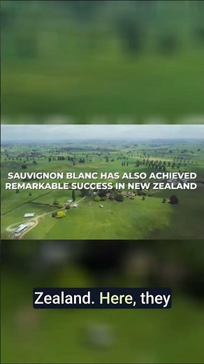 Sauvignon Blanc: Crisp, NZ & Tricky Food Pairings