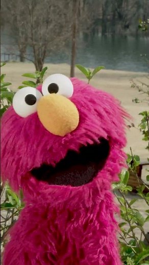 Stay Healthy Like Elmo! | Takalani Sesame #shorts