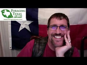 Legally Foraging in Texas