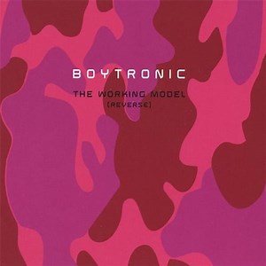 Boytronic - The Working Model (Reverse)