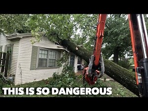 This tree nearly destroyed this house