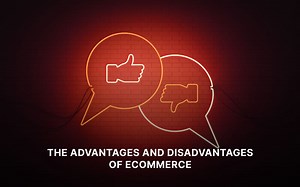Top Advantages and Disadvantages of eCommerce in India