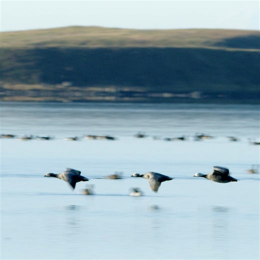 52K views · 1.2K reactions | New analyses using more than 36 million...