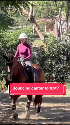 Unlocking Equestrian Skills: Mastering Your Riding Techniques