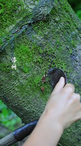 110K views · 1.3K reactions | Mother-of-pearl chess is an ancient chess game that has evolved over a long history. | Cdrjnp ecynah tgmyj | Facebook