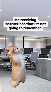 I’m a visual learner. 🫡 #worklife #relatable #funnyworkmemes #toxicworkplace #workmemes