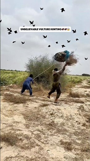 Unbelievable vulture hunting #vulturehunting #birdhunting #wildlifehunting #huntingadventure