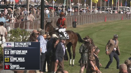 Colonial Cup Races November 23, 2025 | National Steeplechase Association