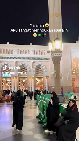 Cimbruut_munis on TikTok