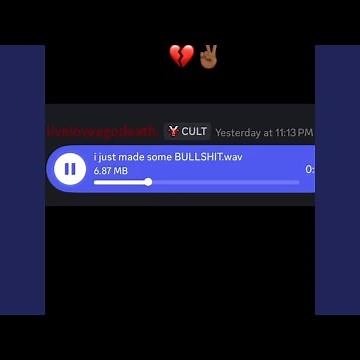 narwhals swimming in the ocean