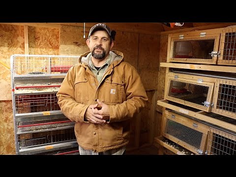 I May Have Upset You. I Apologize.