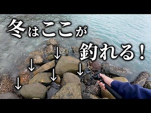 【穴釣り】冬に良型が釣りたいならここを狙え！良型カサゴが潜む場所教えます！