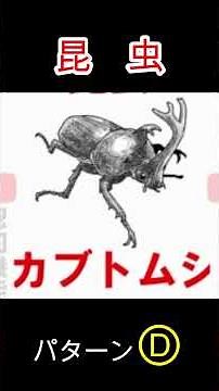 高齢者運転免許更新 認知機能検査 イラスト問題 対策2
