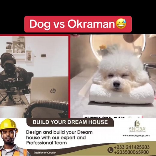 Entertaining Dog Spa Showdown: Hilarious Dog vs Okraman Video