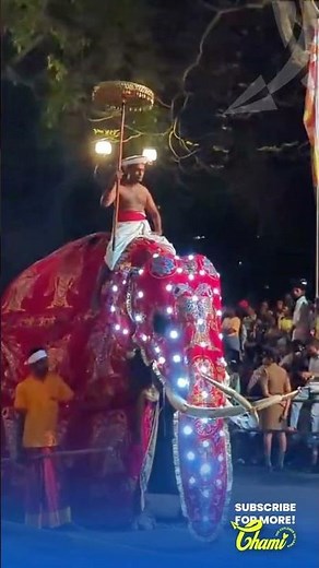 Kandy Esala Perahera 2026 | Sri Lanka’s Grandest Cultural Festival 🎉🐘✨
