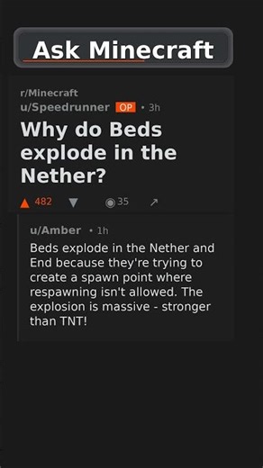 Why do Beds explode in the Nether? #shorts
