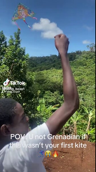 #caribbeantiktok #grenadatiktok🇬🇩🇬🇩🇬🇩🇬🇩🇬🇩💯🥰 #kite #kiteflying #birdkite