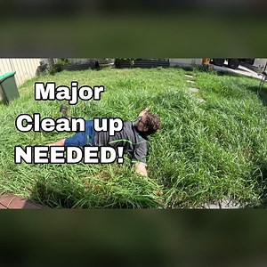 Extremely Satisfying Lawn Work | Blade Mate Lawn Care