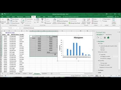Excel Histogram for numeric and categorical data