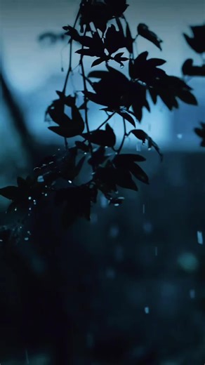 Some people were never meant to stay forever. I once asked God to bring back the ones who walked away. But God reminded me that not everyone is part of your future. Some are only part of the lesson. And the love you are searching for? God already placed it inside you. The right people will recognize it. #faith #trustgod #lifejourney #purpose #hope