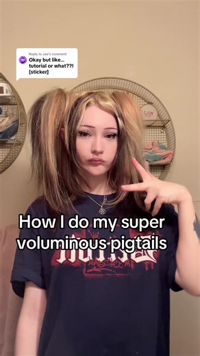 Replying to @Jae #alt #altfashion #althair #althairtutorial #pigtails | Hair Tutorial