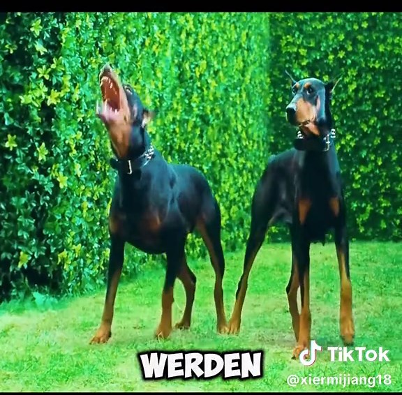 Creative Halloween Costume Ideas Using Christmas Chains