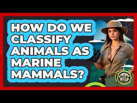 How Do We Classify Animals as Marine Mammals?