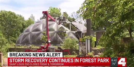 Massive trees toppled, millions in damage reported across Forest Park following storms