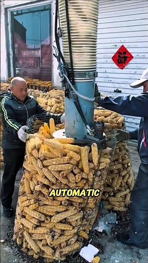Amazing Automatic Corn Packing Machine | Smart Agricultural Technology from China