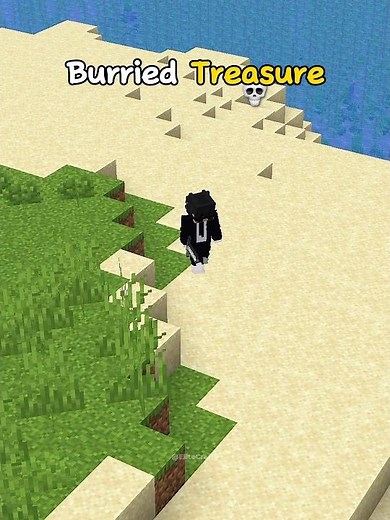 Minecraft Burried Treasure Finding Incident
