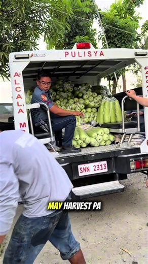 Exploring Alfred Water Max Motorcycle Collection in Labrador