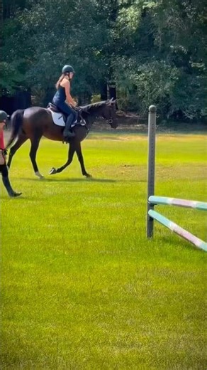 First time riding this awesome guy😎 #horse #equestrian #horsegirl #pony #horseriding